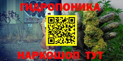 стафф Ярославль