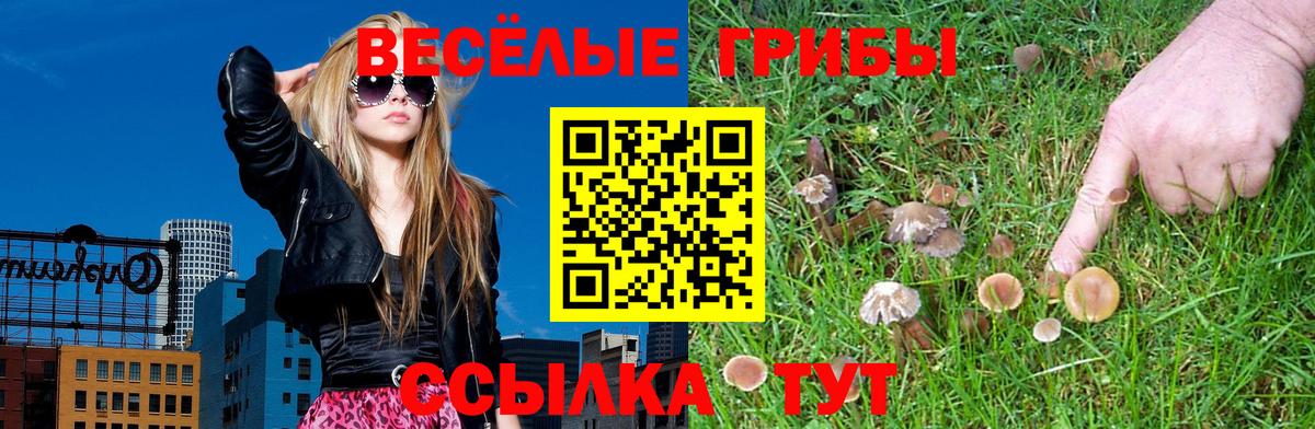 Галлюциногенные грибы мицелий Красноярск