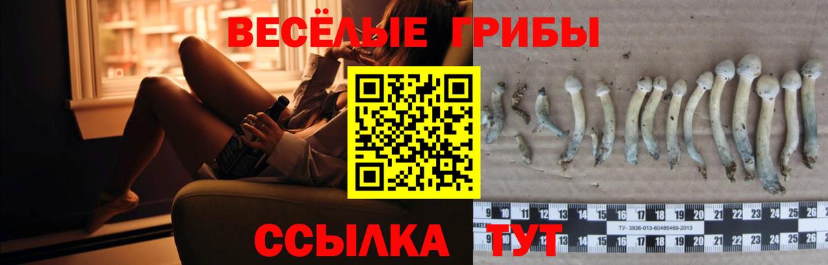 Псилоцибиновые грибы Psilocybine cubensis  Вход с VPN  Галлюциногенные грибы мухоморы  Красноярск 
